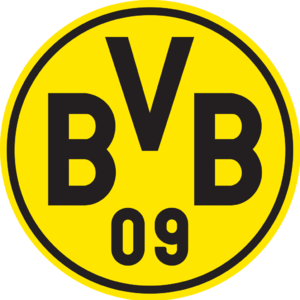 多特蒙德队旗